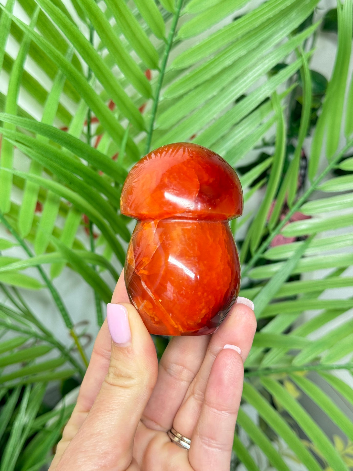 Carnelian mushroom