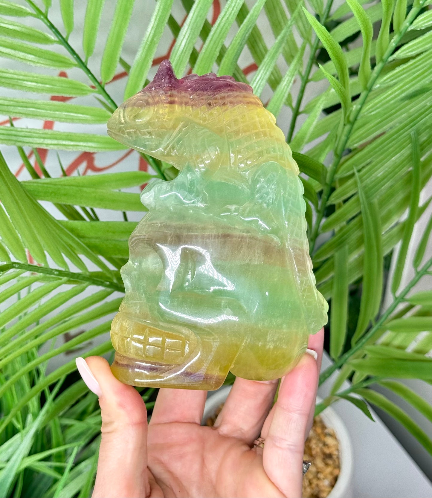 XL stunning candy fluorite skull with chameleon on top. Perfect coloration on this piece! Measures 5” tall and 3.5” wide. Weighs 1.8 lbs