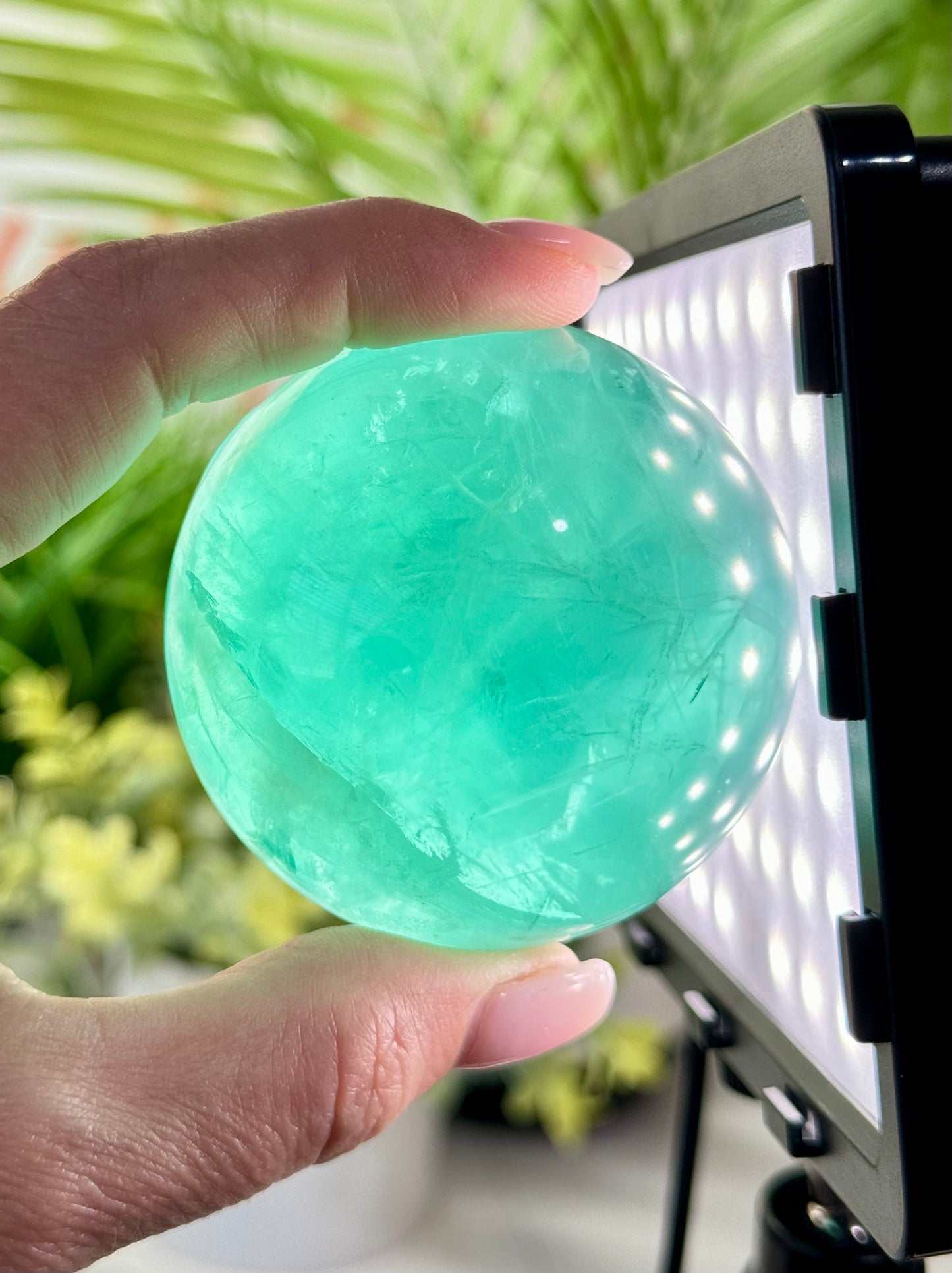 Mint green fluorite sphere. 60mm and will include a sphere stand. *see attached photos for back lighting