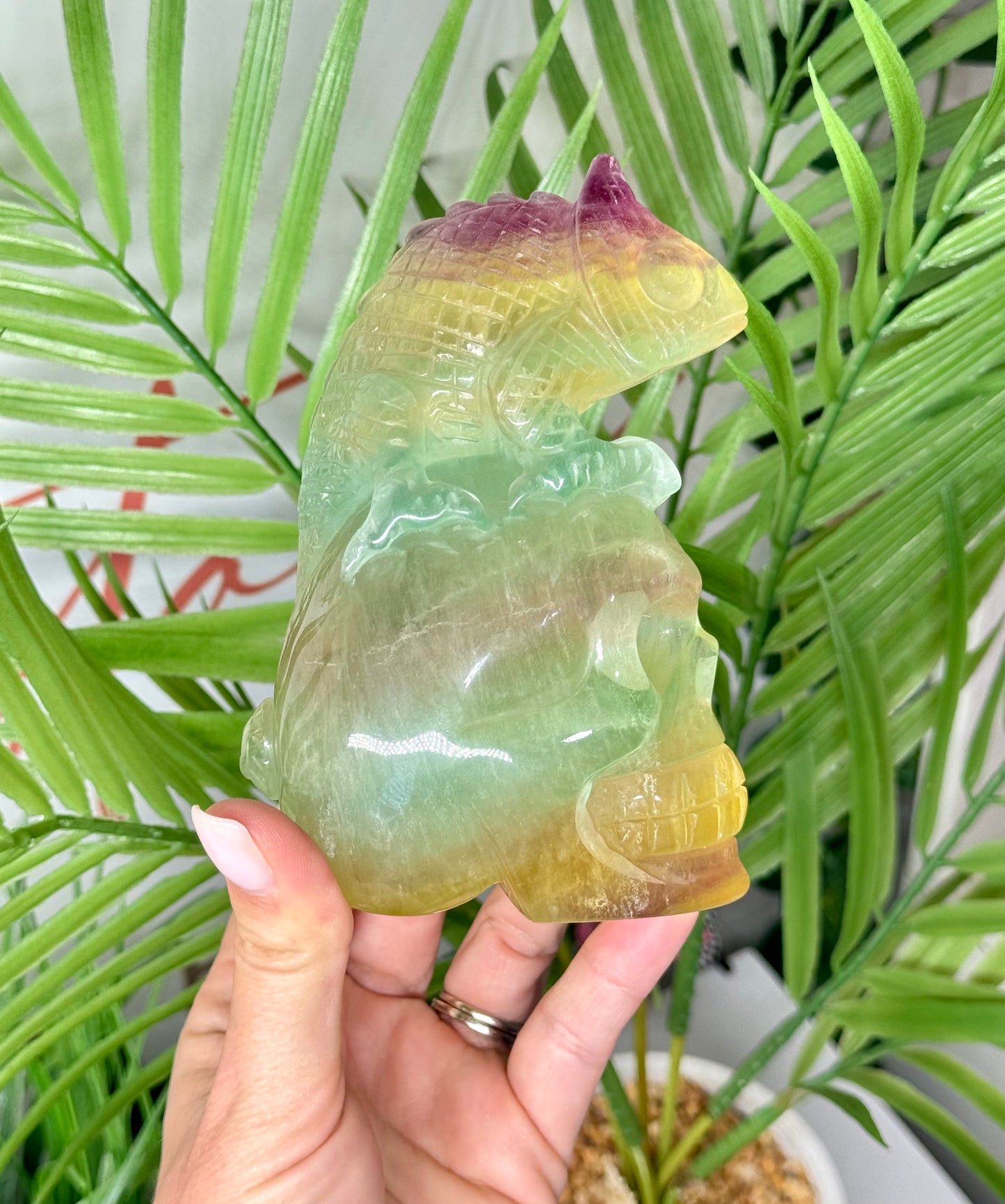 XL stunning candy fluorite skull with chameleon on top. Perfect coloration on this piece! Measures 5” tall and 3.5” wide. Weighs 1.8 lbs