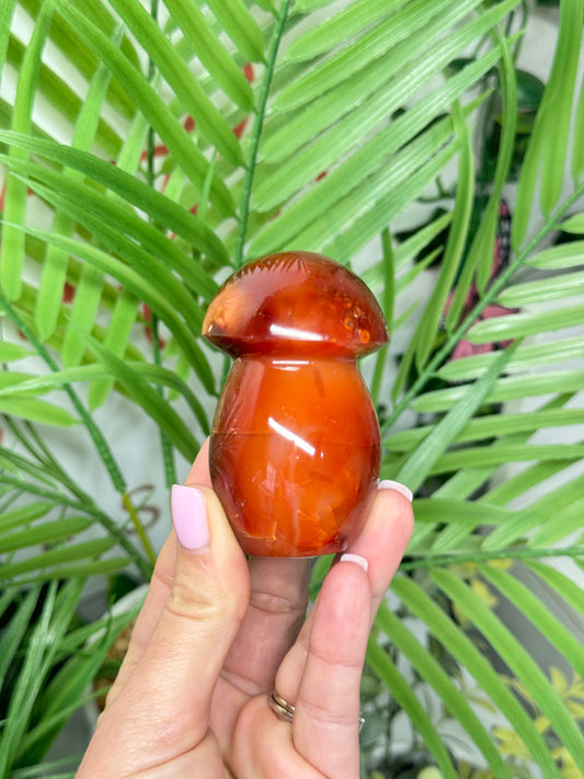 Carnelian mushroom