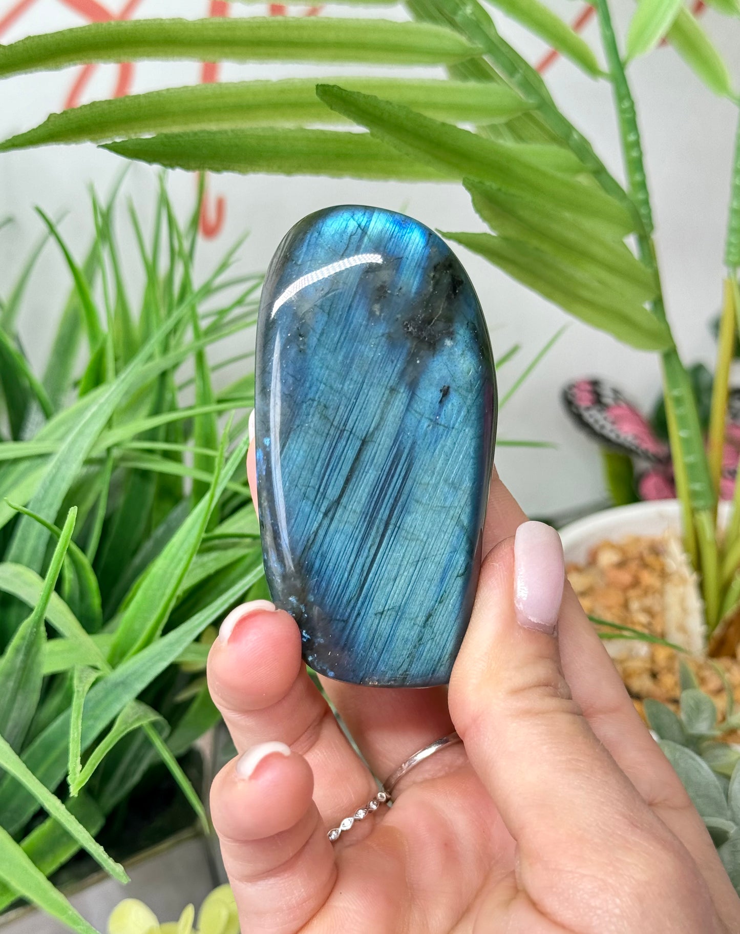 Labradorite free form