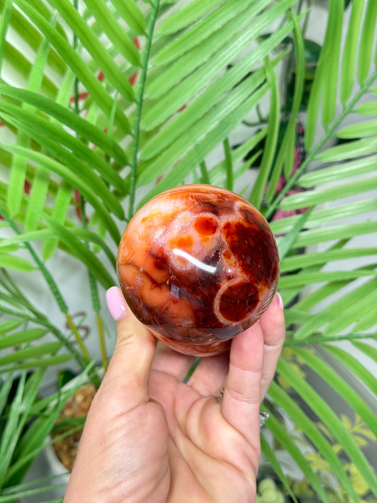 Large carnelian mushroom