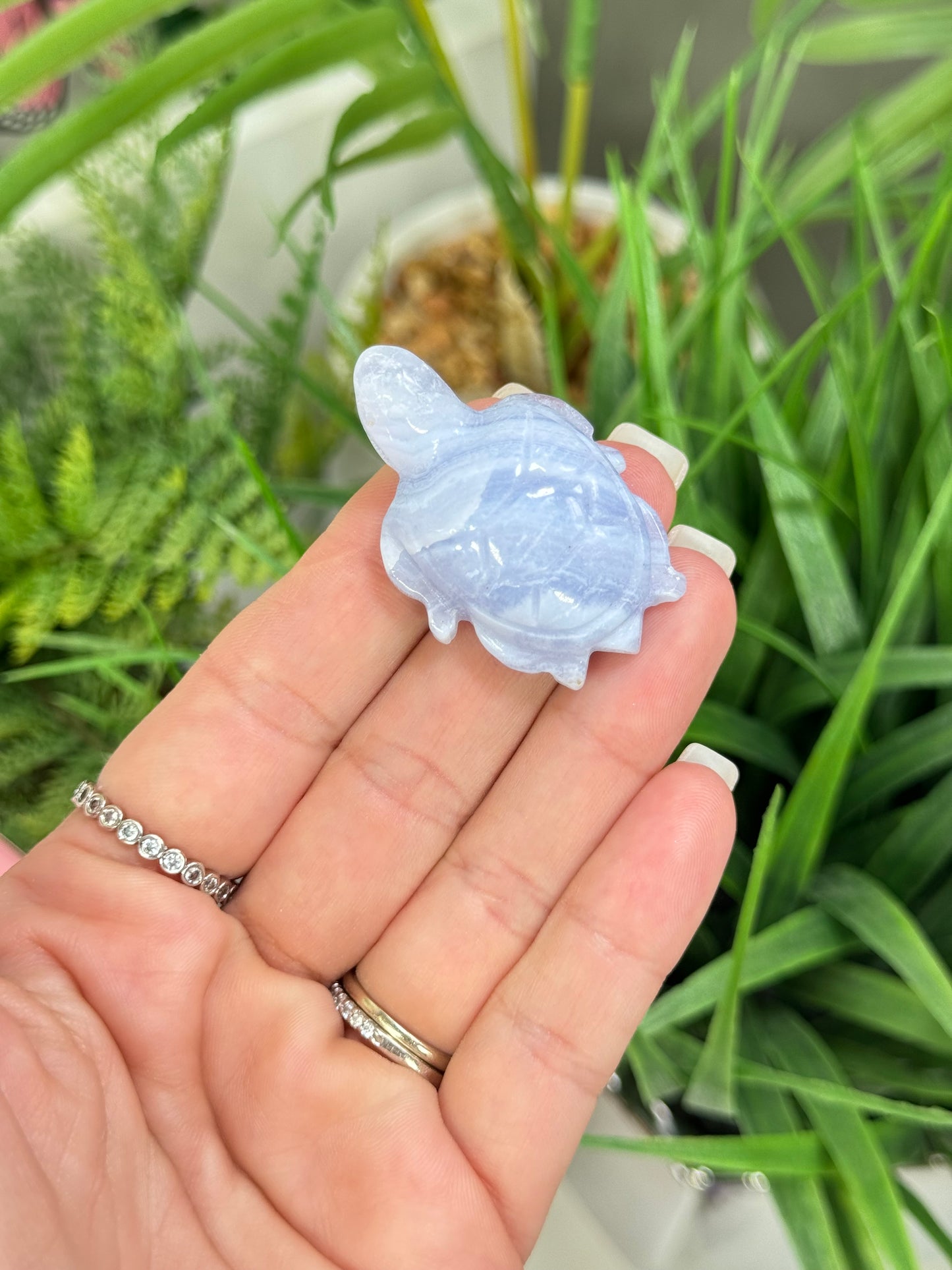 Blue lace agate sea turtle