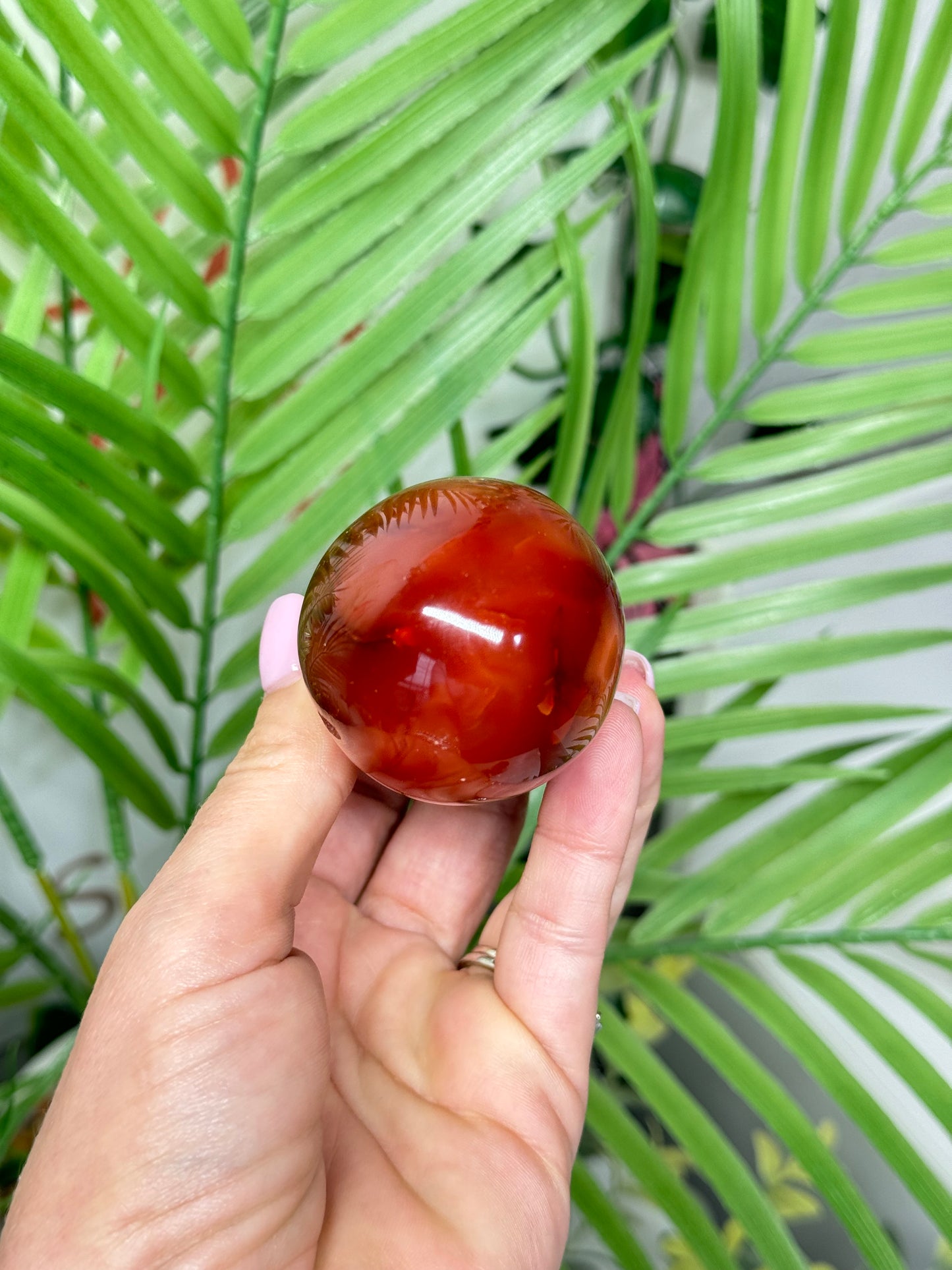 Carnelian mushroom