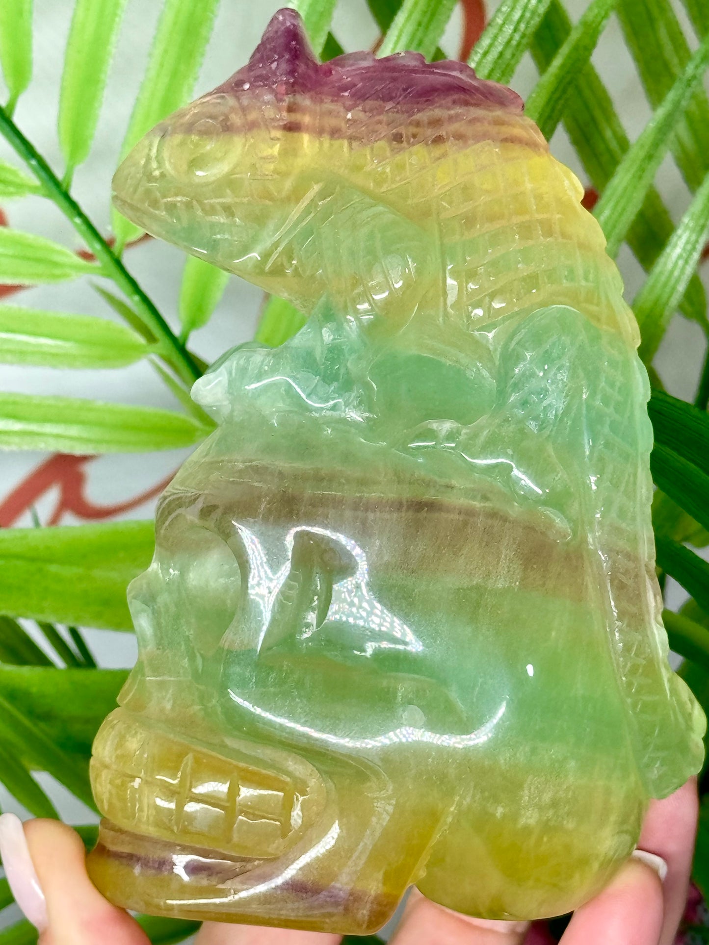 XL stunning candy fluorite skull with chameleon on top. Perfect coloration on this piece! Measures 5” tall and 3.5” wide. Weighs 1.8 lbs