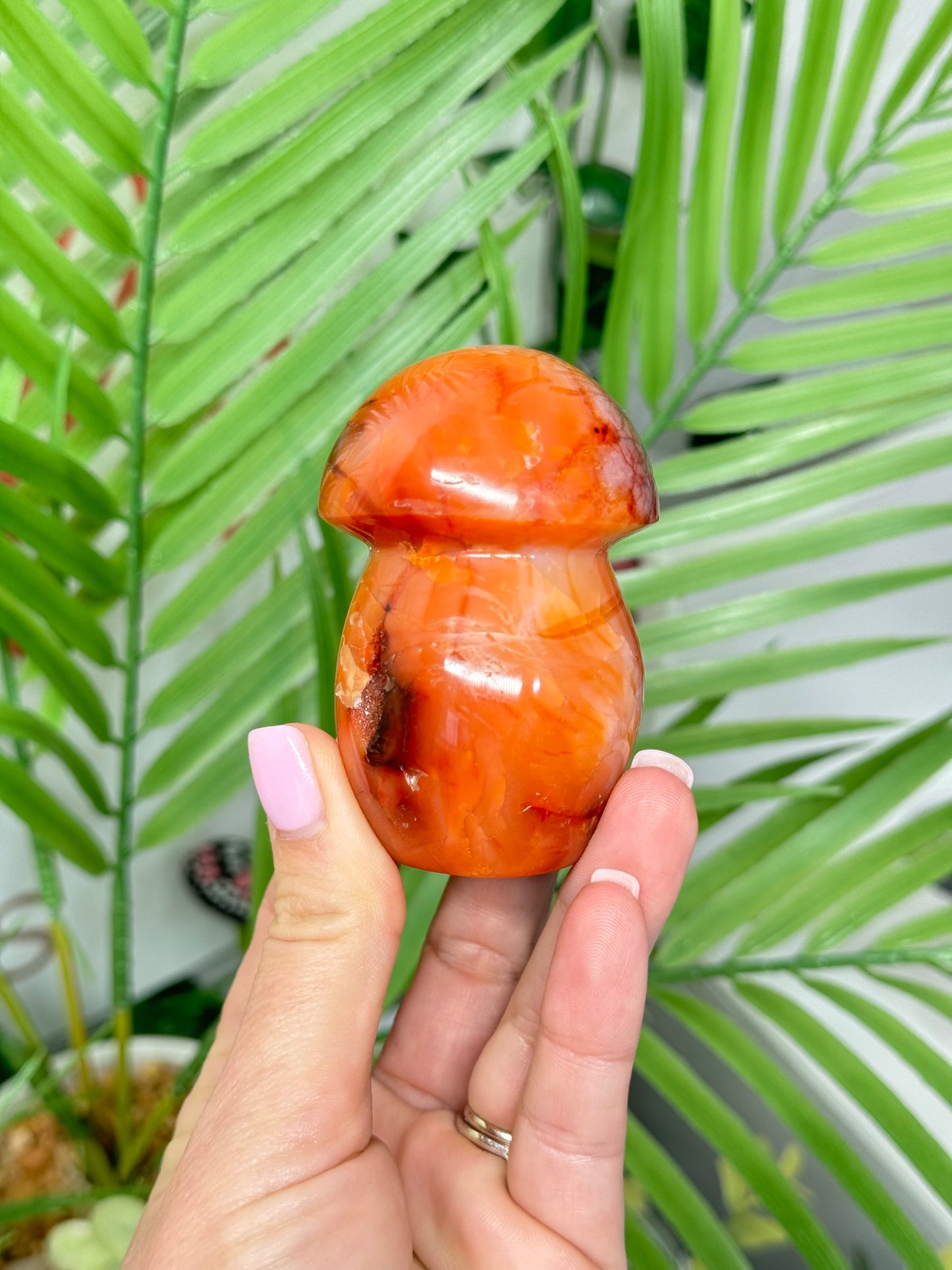 Carnelian mushroom