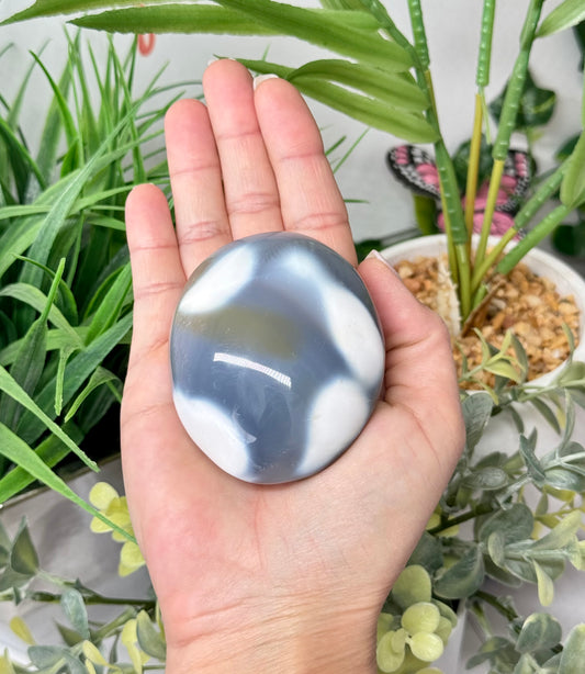 XL orca agate palm stone