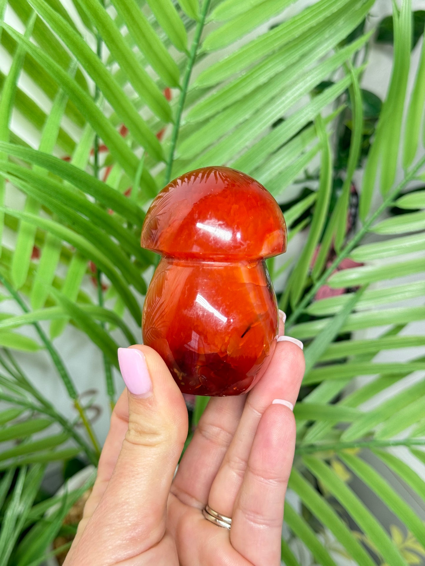 Carnelian mushroom