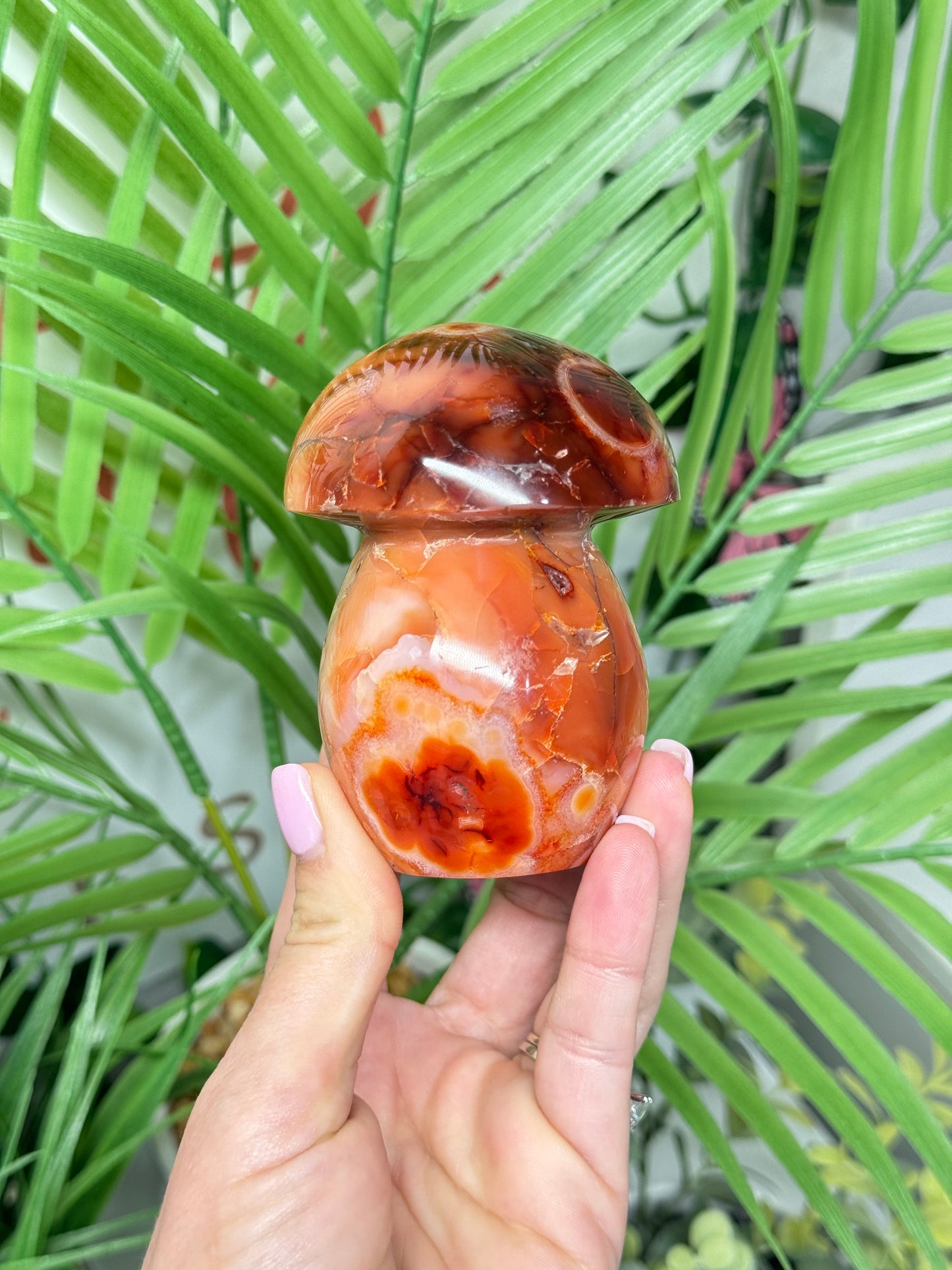 Large carnelian mushroom