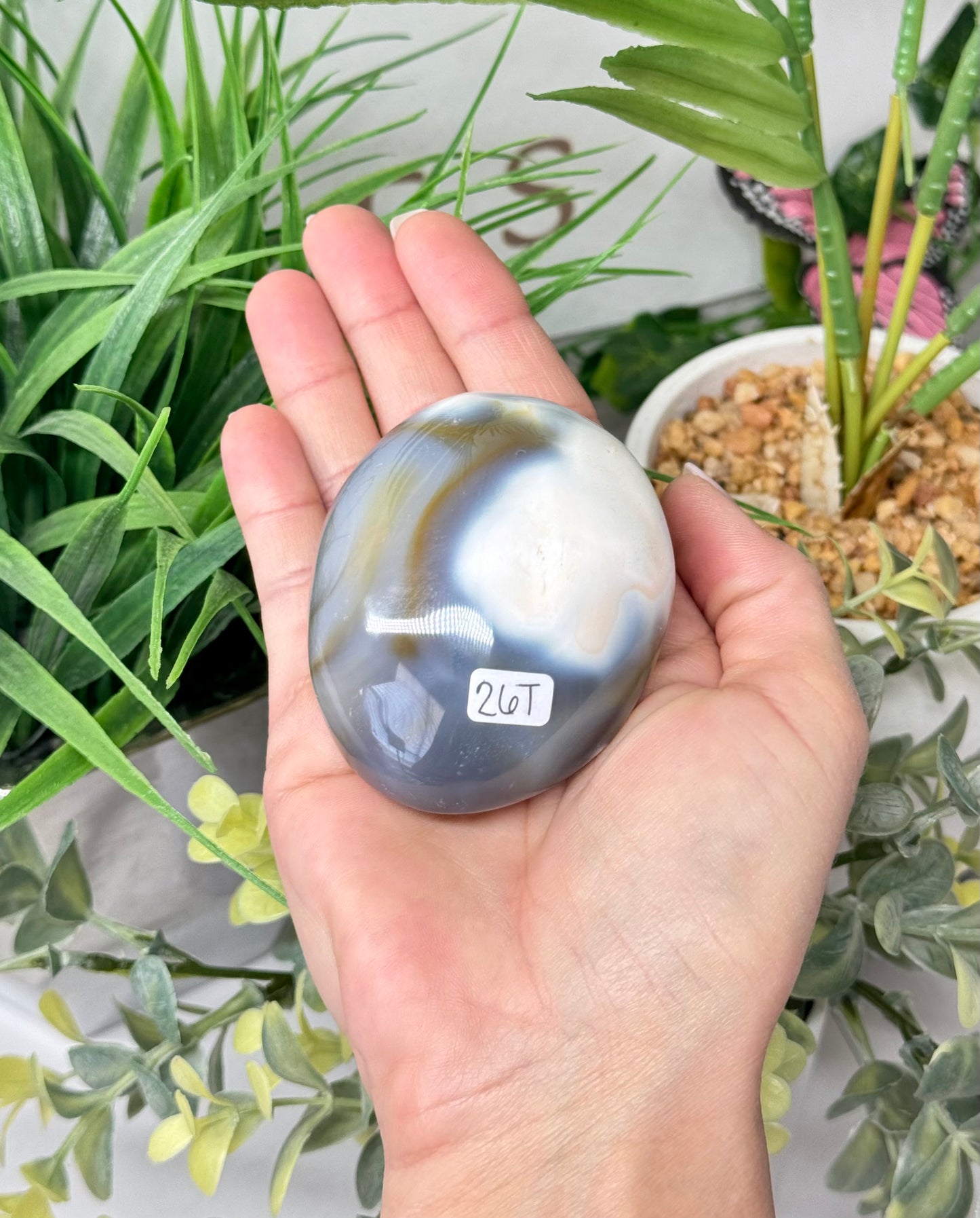 XL orca agate palm stone