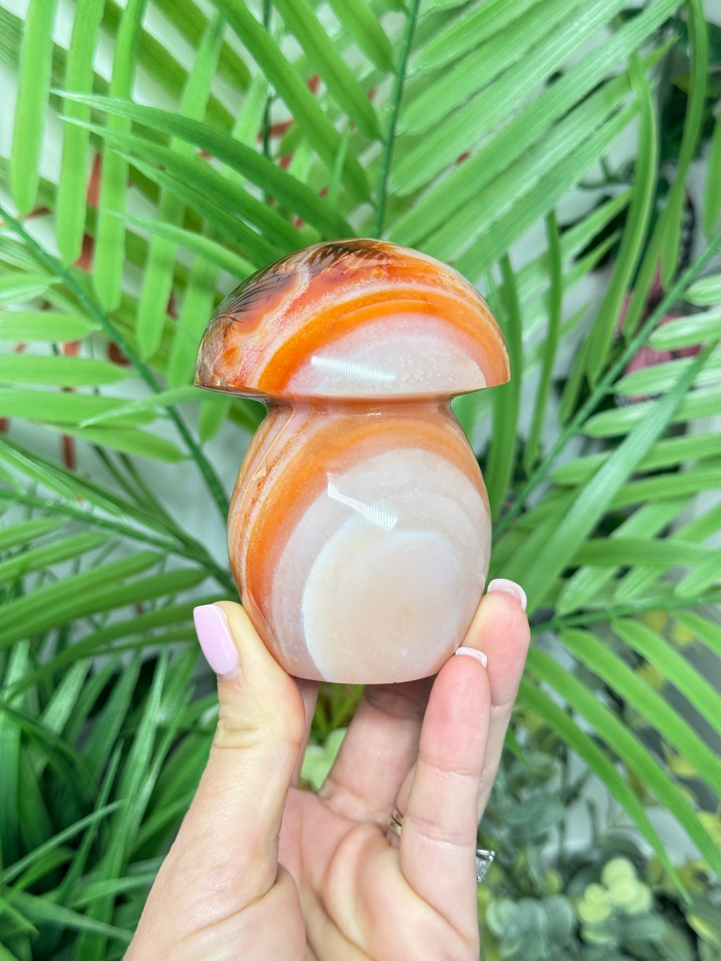 Large carnelian mushroom