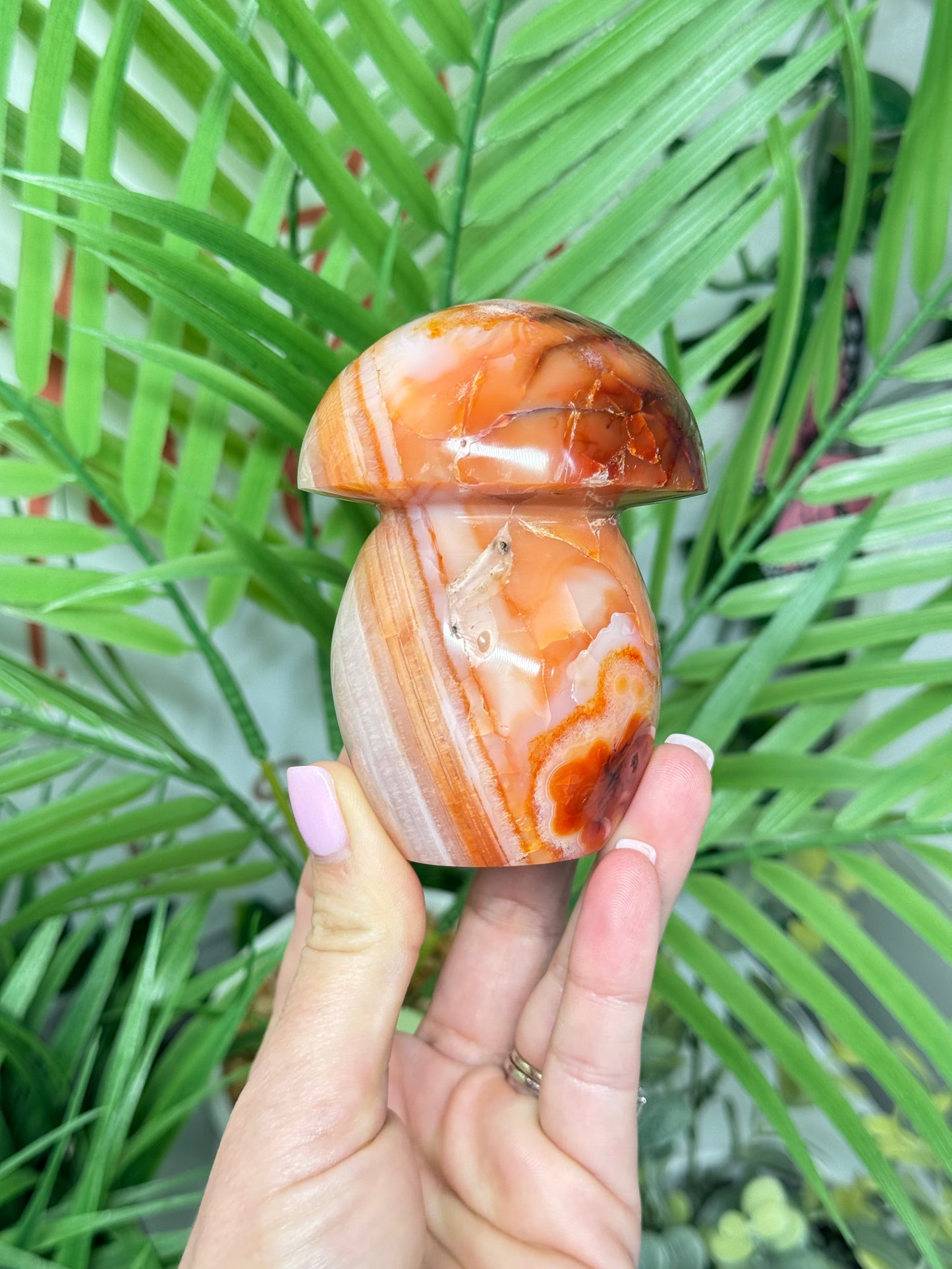 Large carnelian mushroom