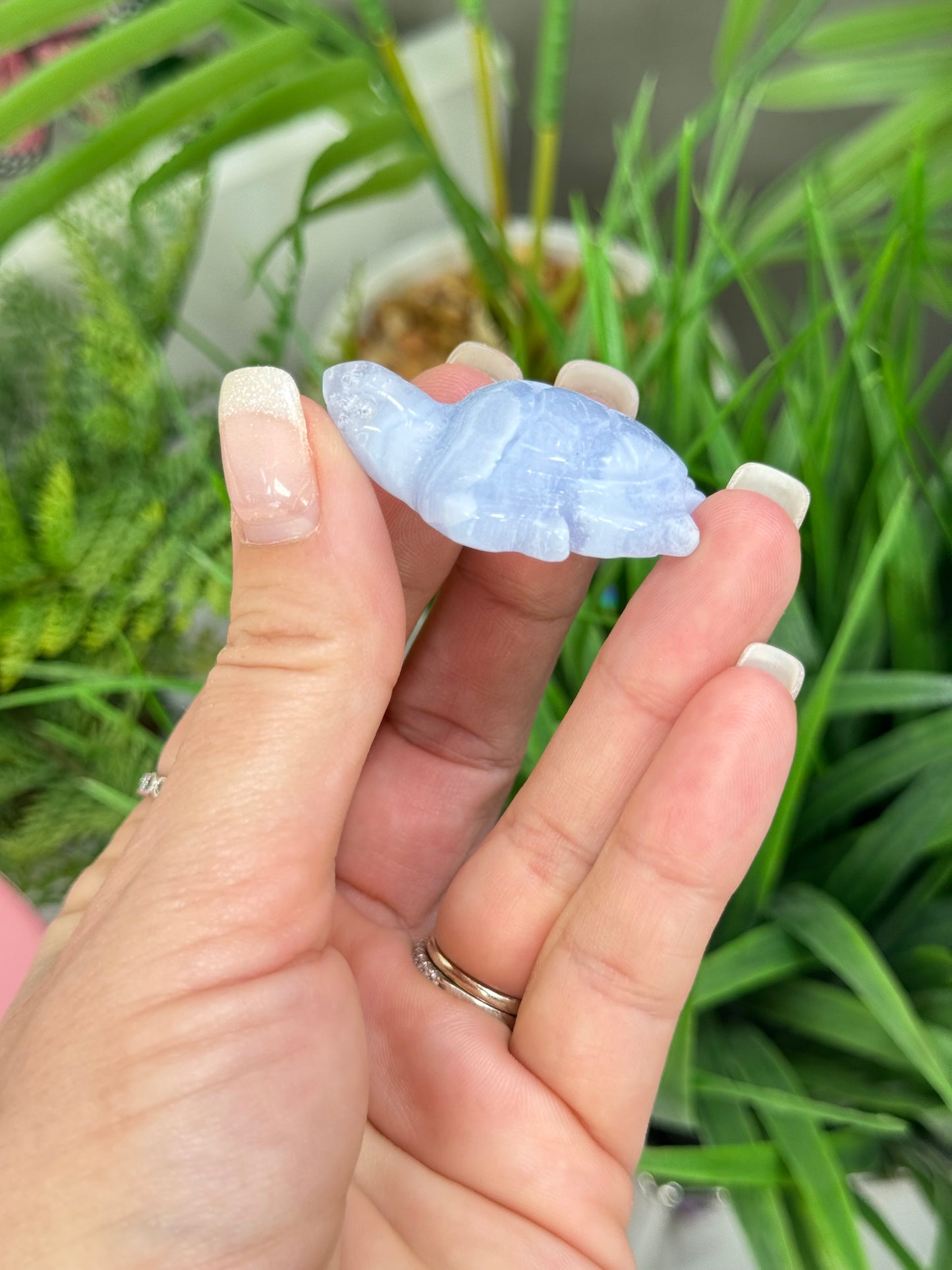 Blue lace agate sea turtle