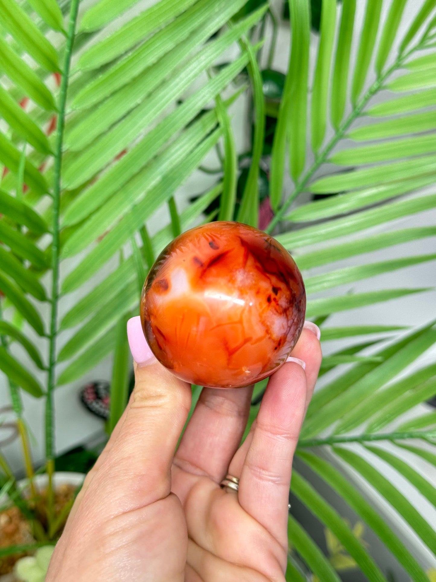 Carnelian mushroom