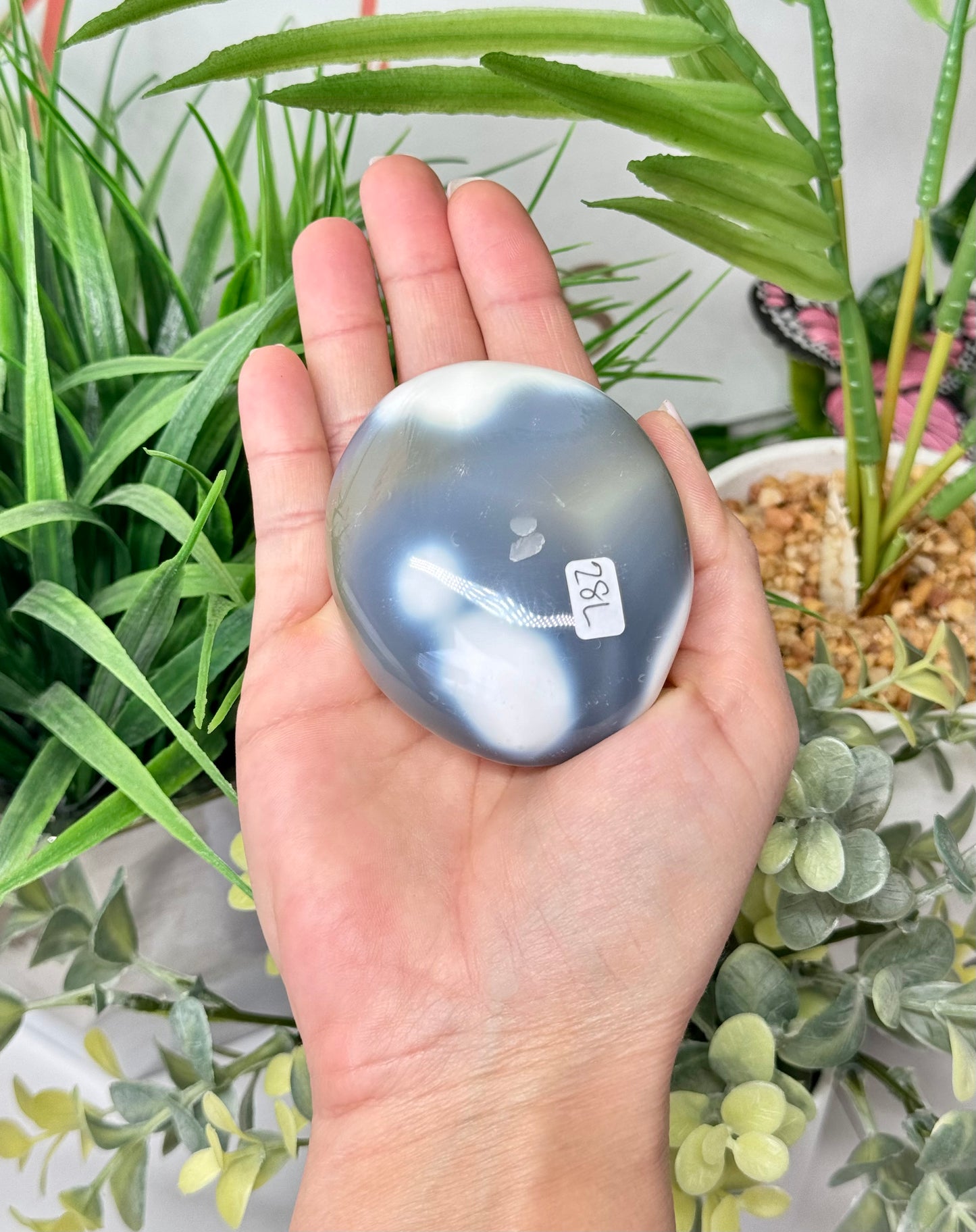 XL orca agate palm stone