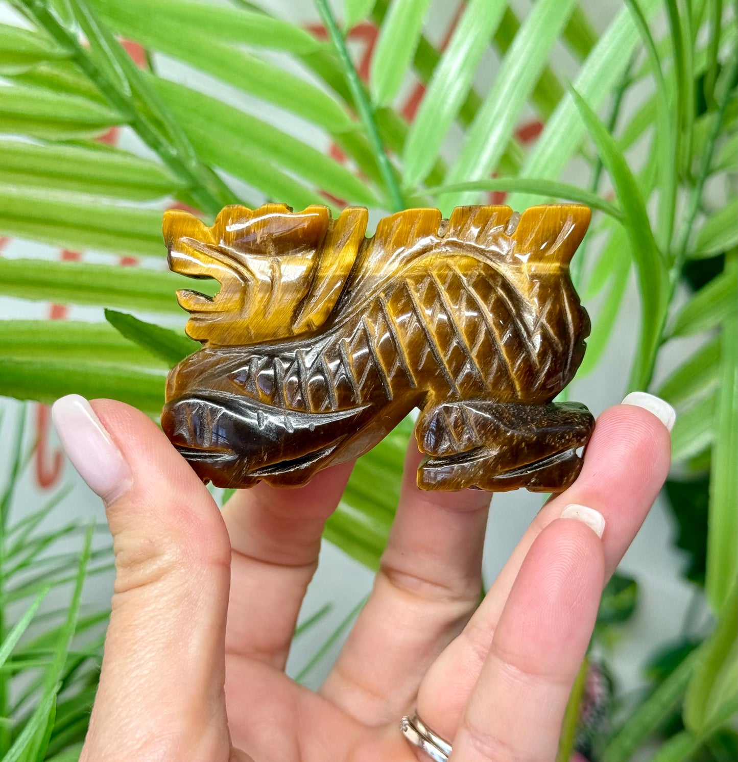 Tigers eye Chinese dragon carving. Measures 3” wide and 2” tall