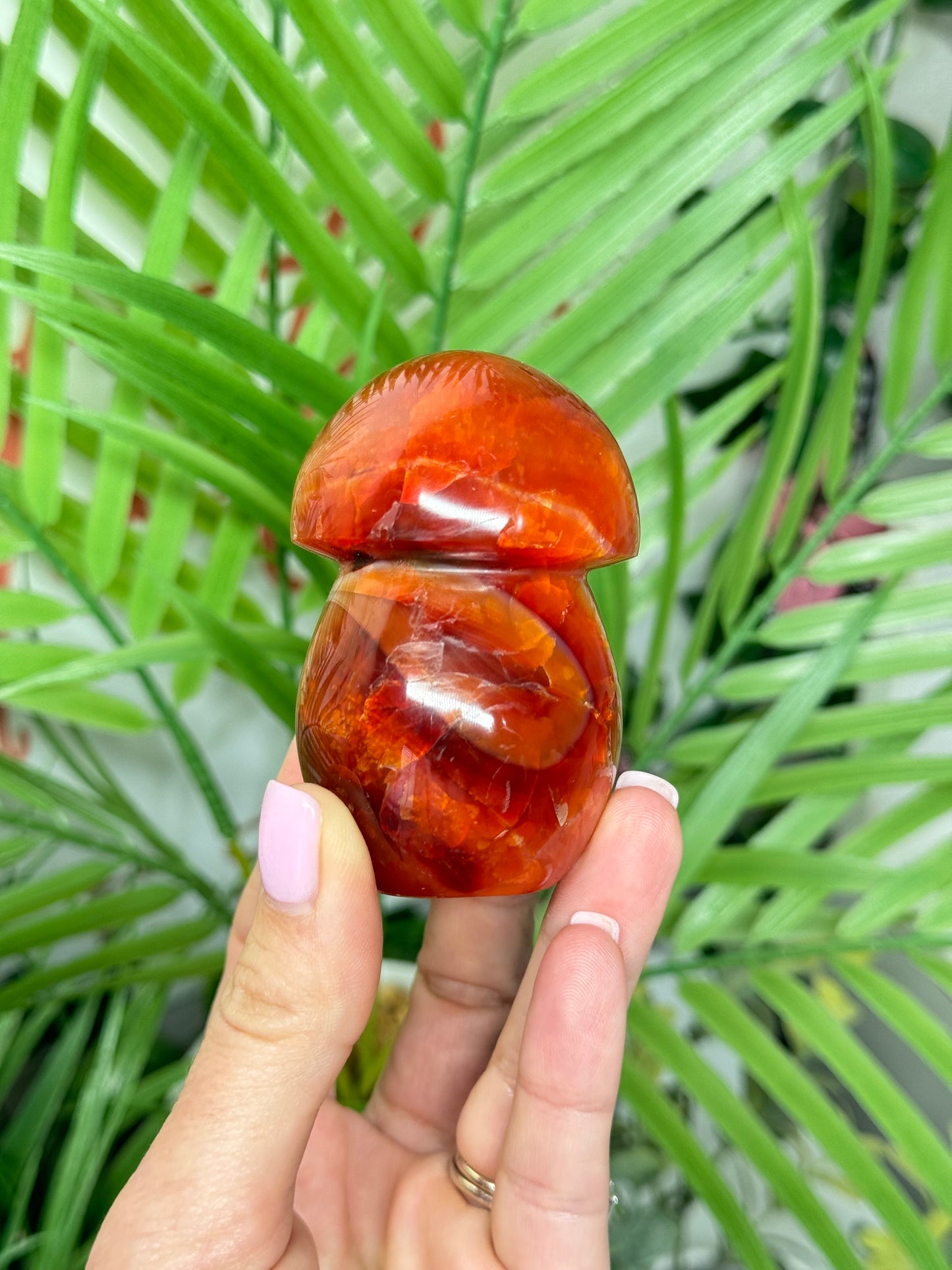 Carnelian mushroom