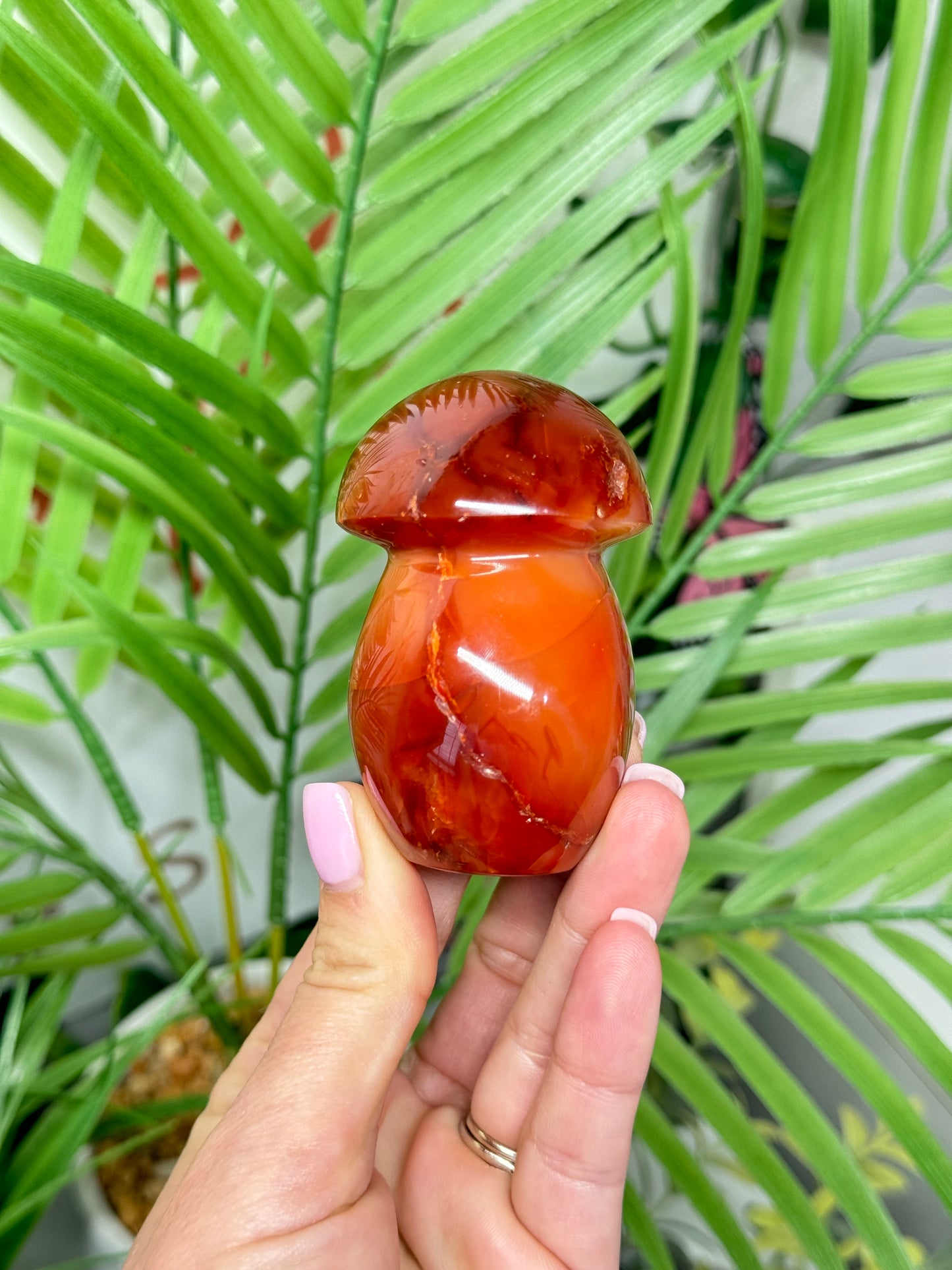 Carnelian mushroom