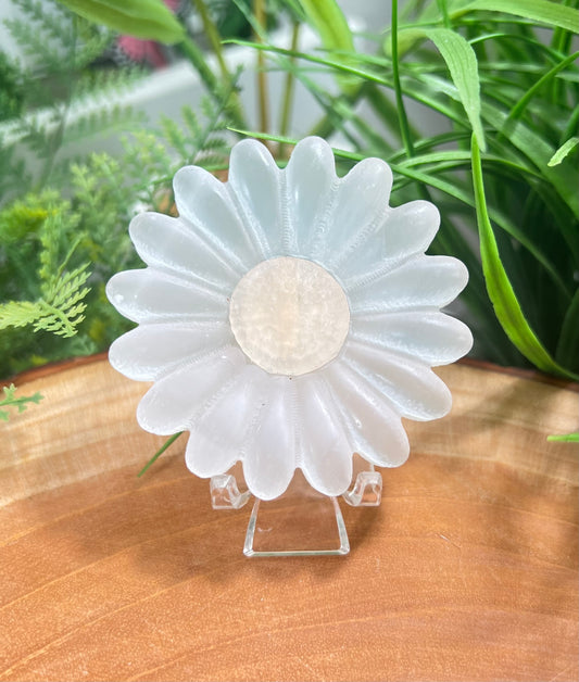 Selenite daisy with yellow center includes acrylic stand