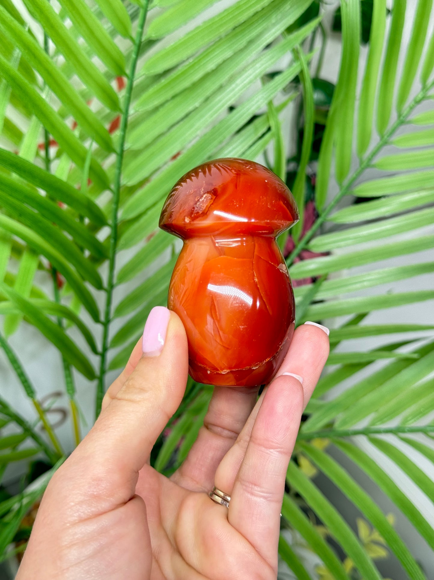 Carnelian mushroom