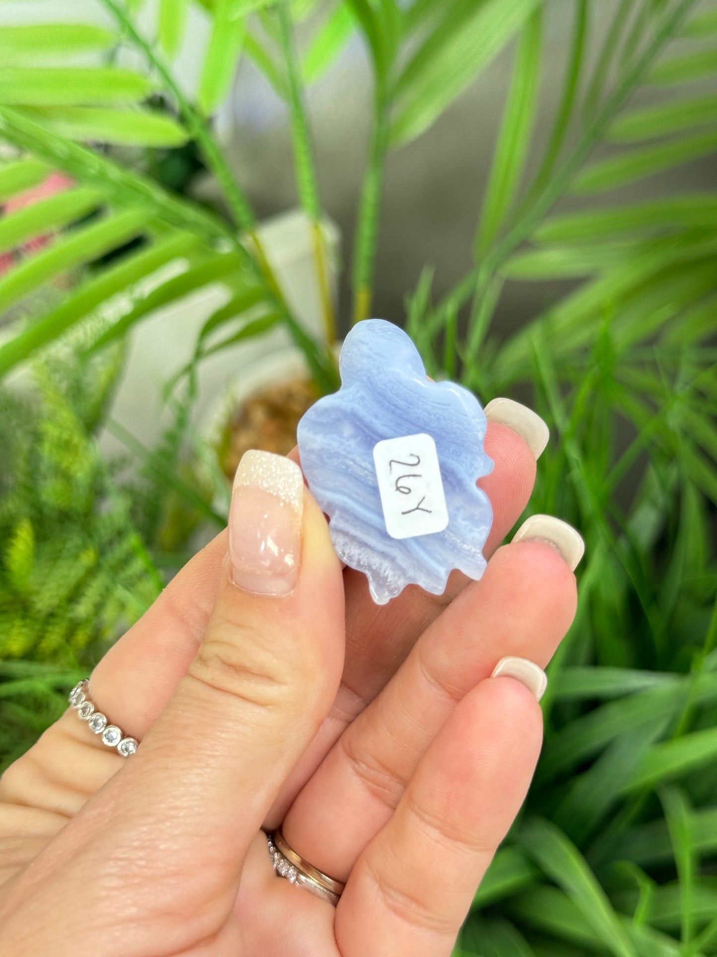 Blue lace agate sea turtle