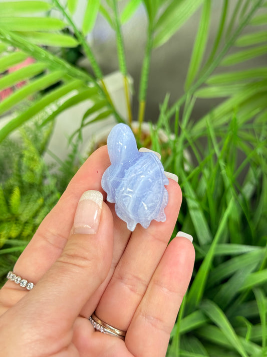 Blue lace agate sea turtle