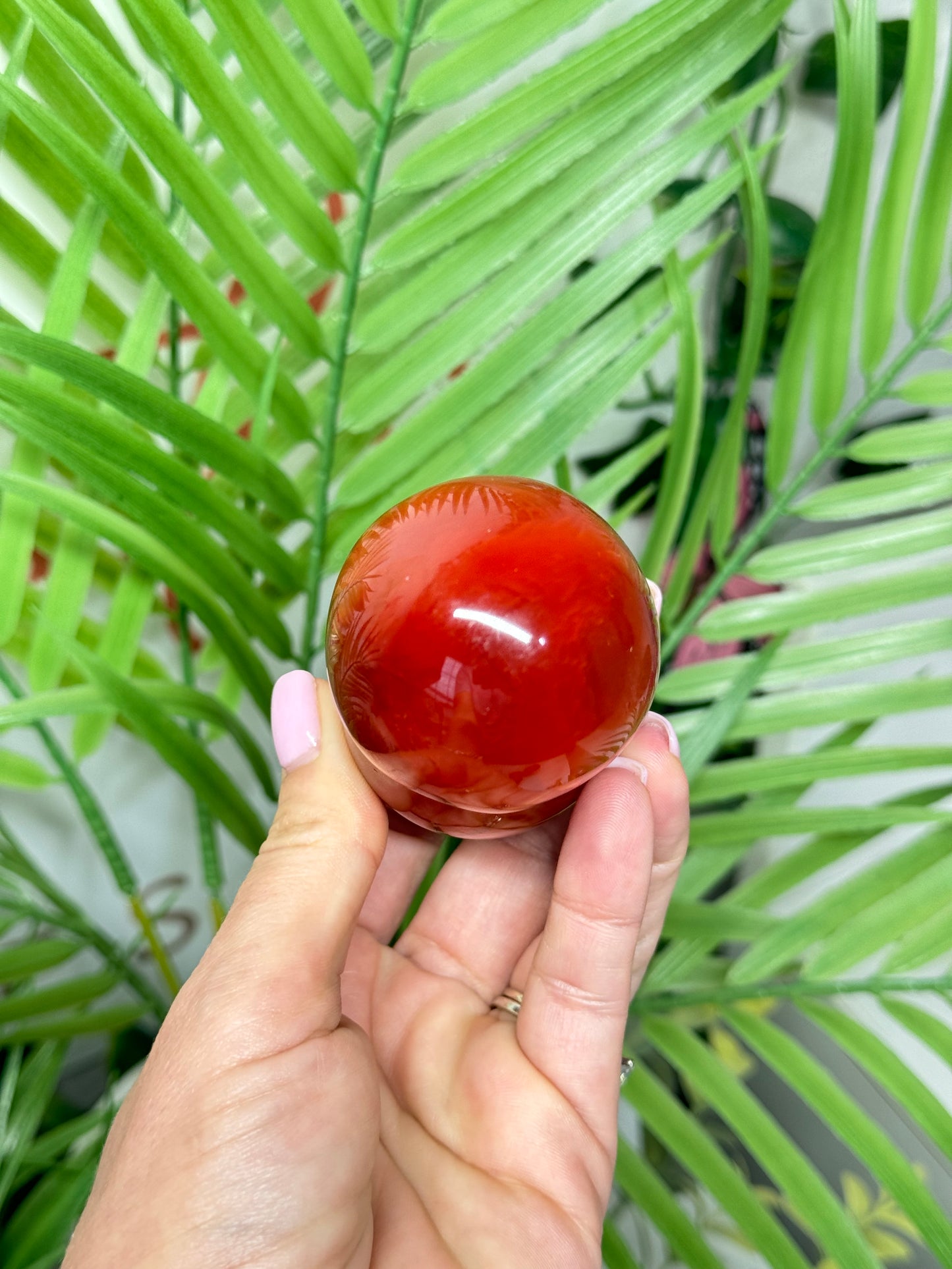 Carnelian mushroom