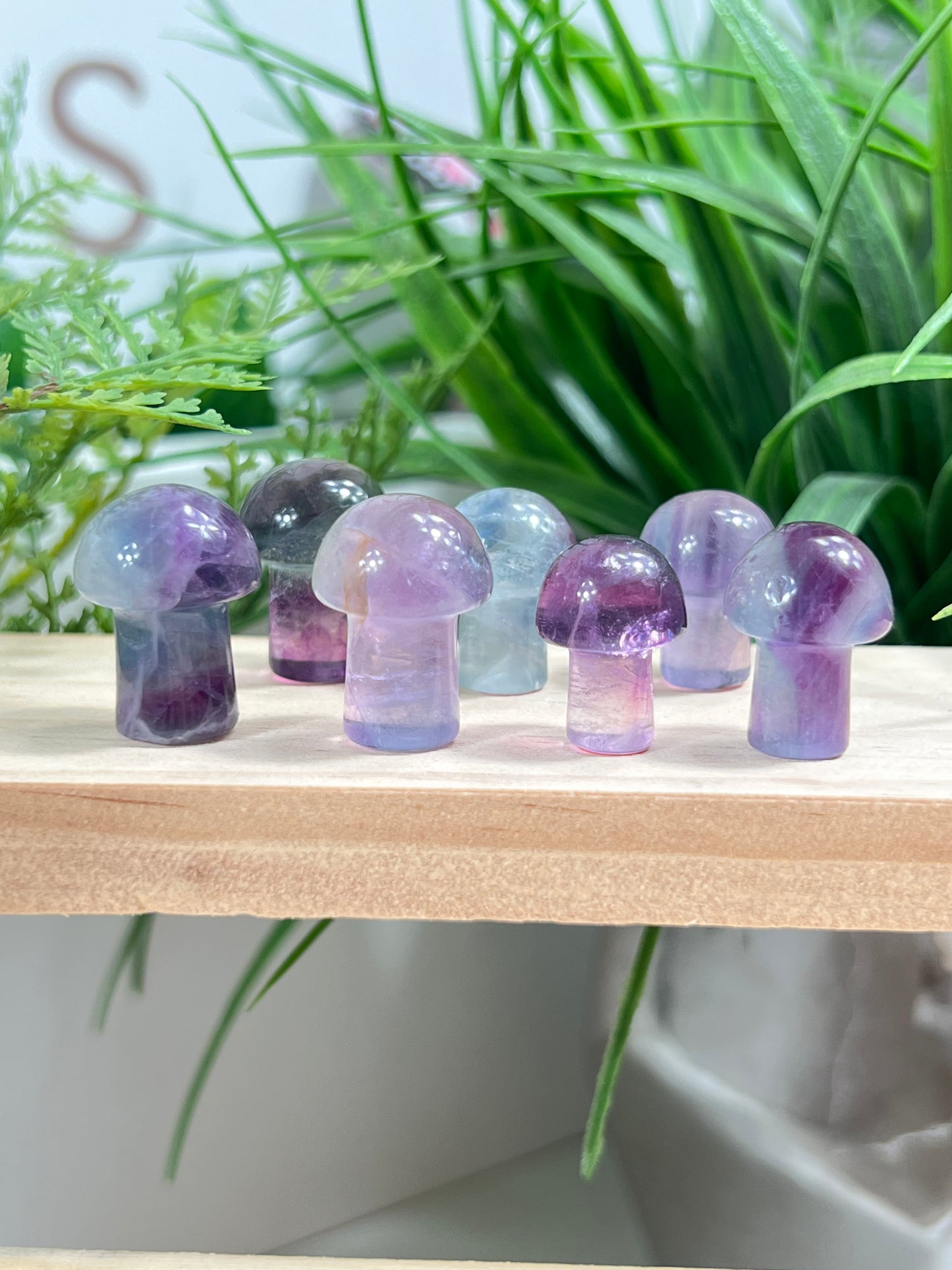 Mini fluorite mushrooms