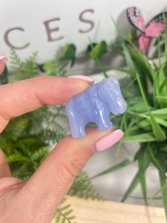 Mini Blue lace agate hippo carving