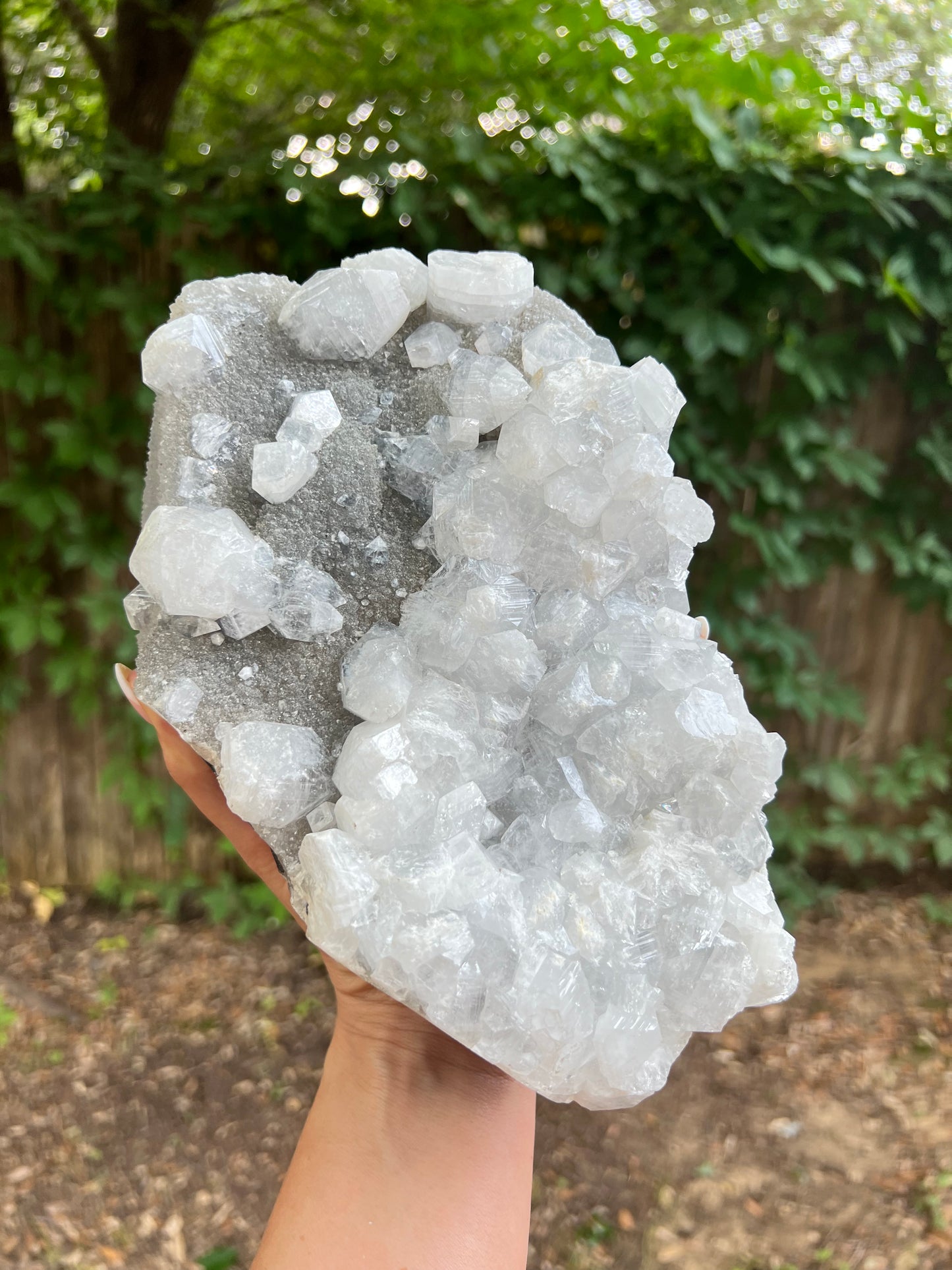 XXL Apophyllite Specimen Statement Piece