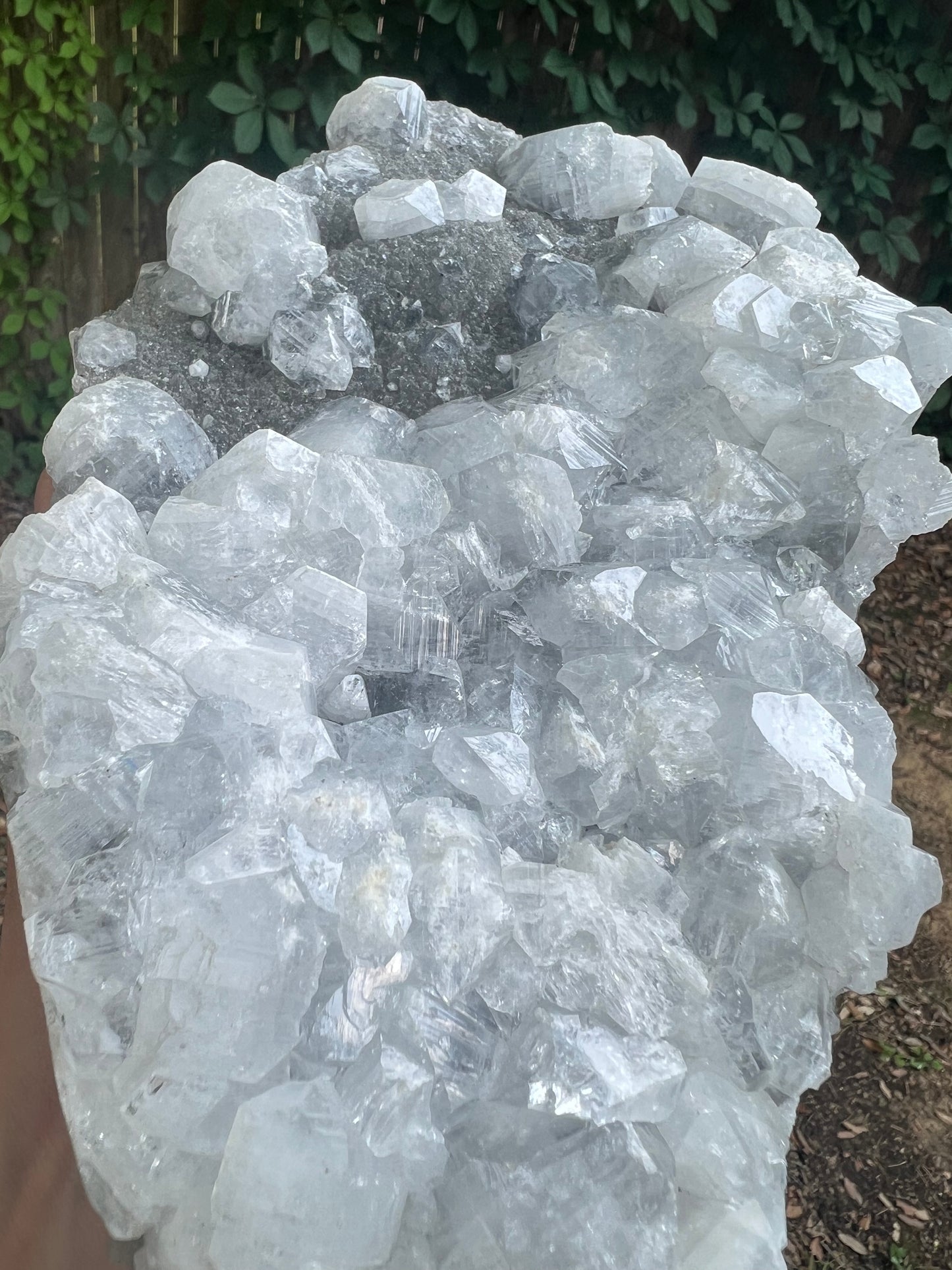 XXL Apophyllite Specimen Statement Piece