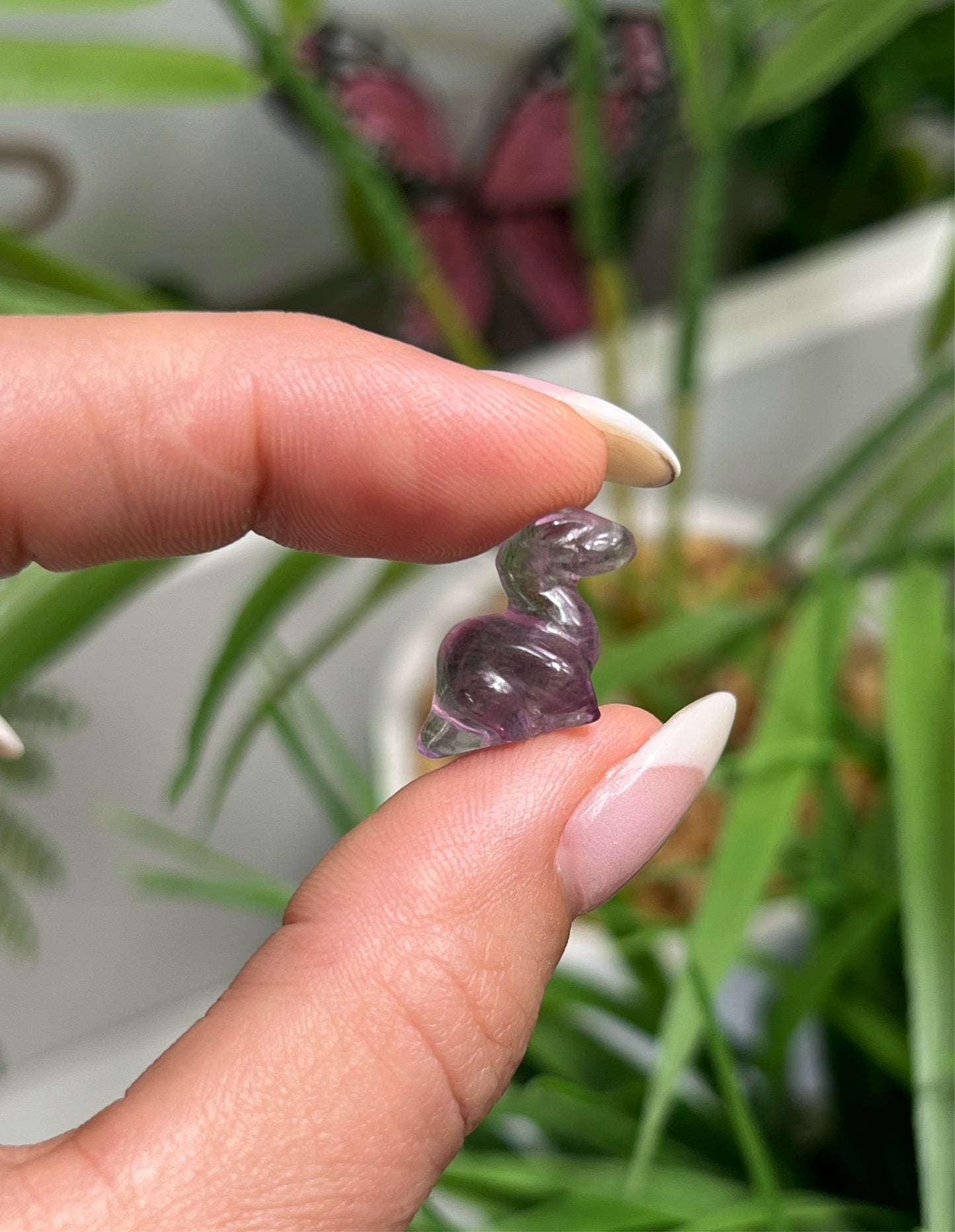 Mini fluorite Dino