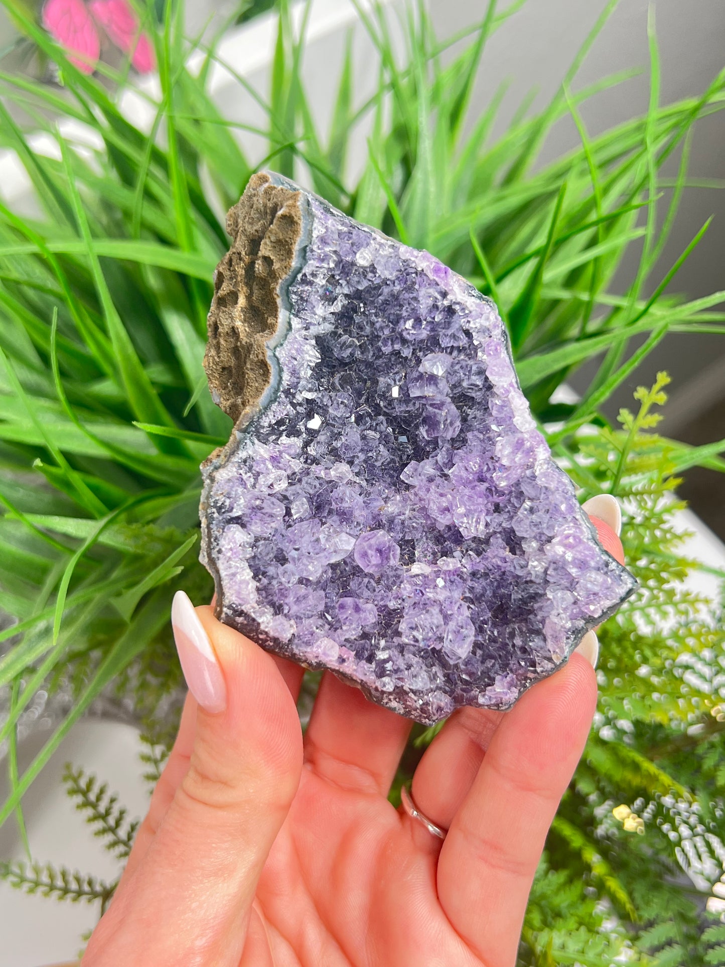 Amethyst cluster