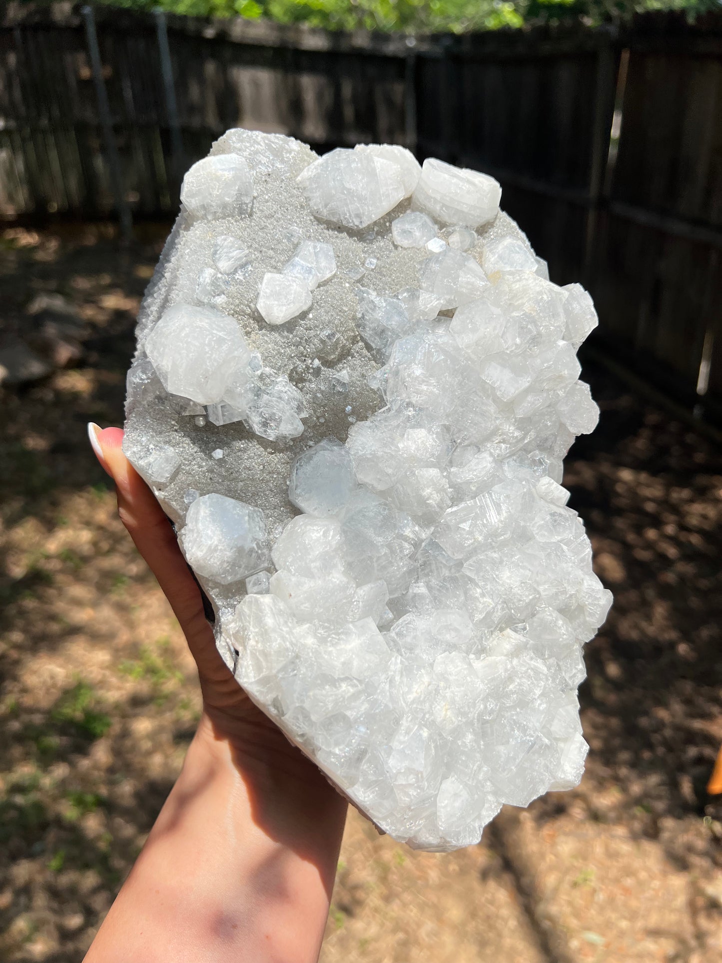 XXL Apophyllite Specimen Statement Piece