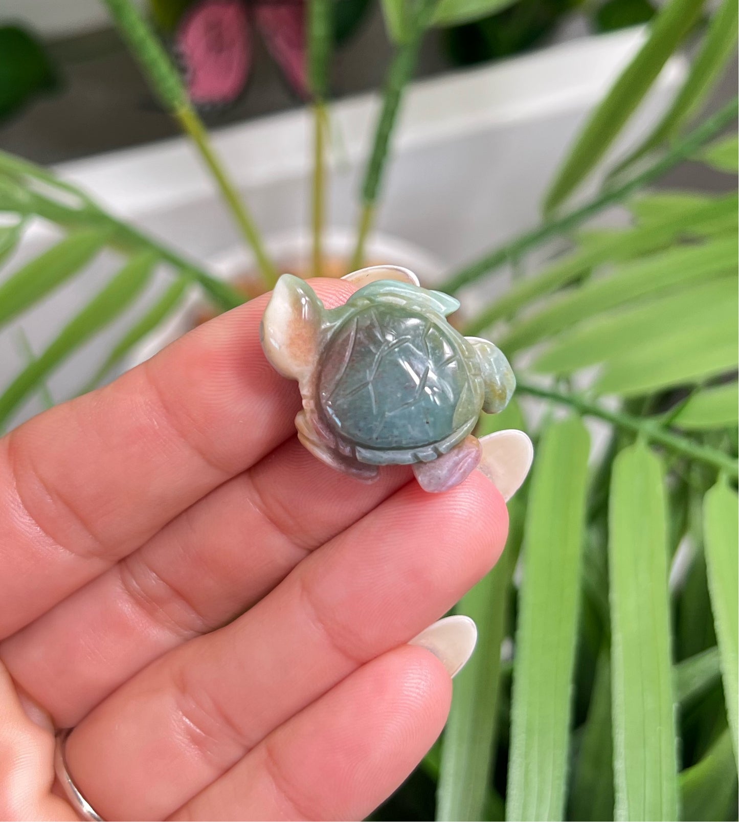 Mini sea jasper turtle