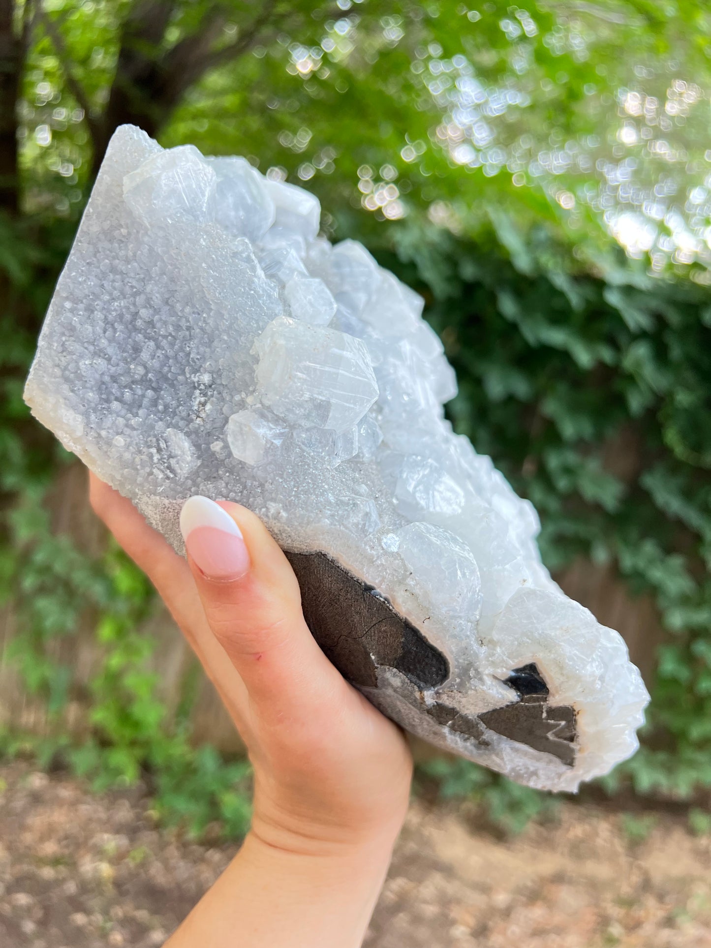 XXL Apophyllite Specimen Statement Piece